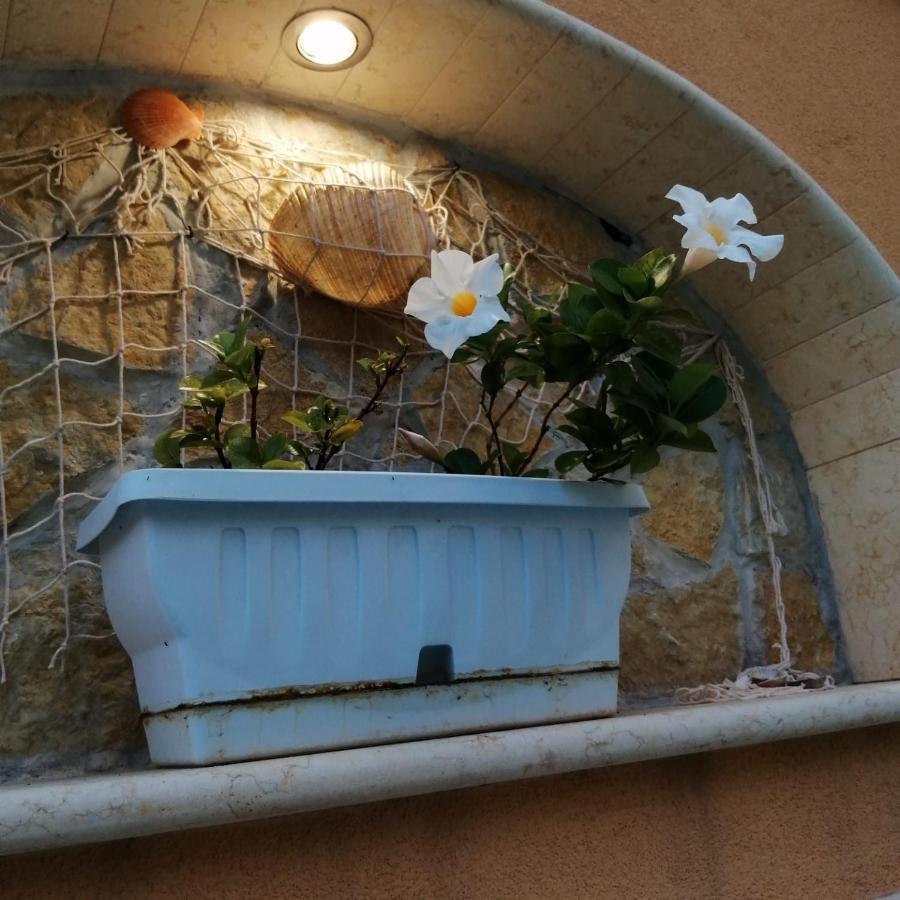 Ivana Home Trapani Kültér fotó
